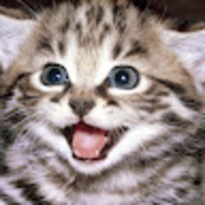 Meet your Posher, Debra